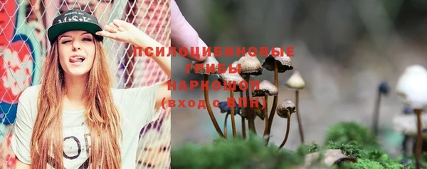 МДПВ Белокуриха
