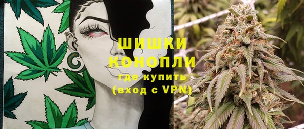 мдпв Богородск
