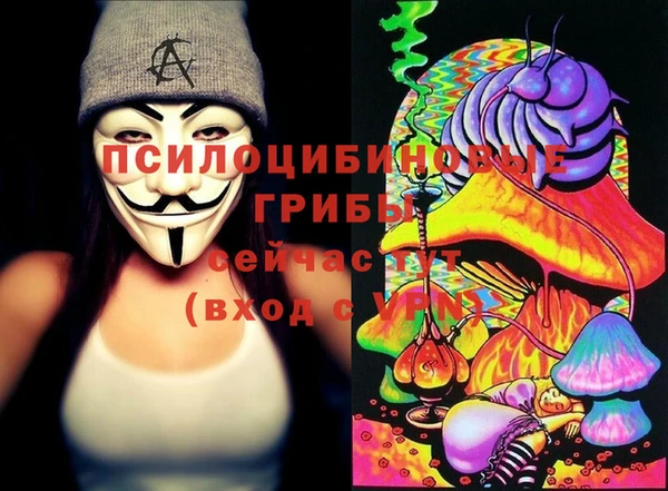 мдпв Богородск
